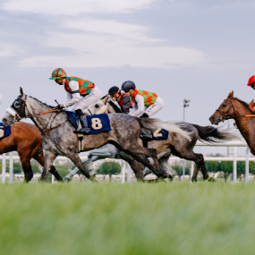 The Garden: Race Meeting 1 - The Velora Garden, 25 Oct in Abu Dhabi: Gallery Photo 3j50ey The Garden: Race Meeting 1 - The Velora Garden, 25 Oct in Abu Dhabi: Gallery Photo 3j50ey