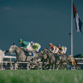 The Garden: Race Meeting 1 - The Velora Garden, 25 Oct in Abu Dhabi: Gallery Photo 3xvky7 The Garden: Race Meeting 1 - The Velora Garden, 25 Oct in Abu Dhabi: Gallery Photo 3xvky7