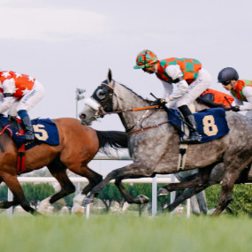 Photo from الحديقة ملتقى السباقات 1 - حديقة فيلورا، 25 أكتوبر in أبوظبي: Gallery Photo 3yo6k1