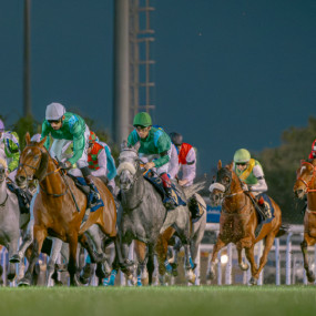 Photo from الحديقة ملتقى السباقات 1 - حديقة فيلورا، 25 أكتوبر in أبوظبي: Gallery Photo n69v49