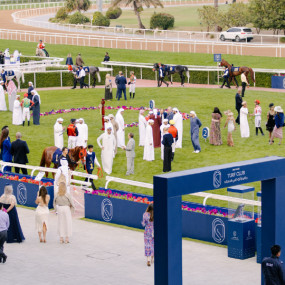 Photo from الحديقة ملتقى السباقات 1 - حديقة فيلورا، 25 أكتوبر in أبوظبي: Gallery Photo n152qx