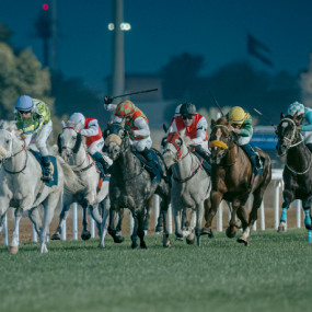 Photo from الحديقة ملتقى السباقات 1 - حديقة فيلورا، 25 أكتوبر in أبوظبي: Gallery Photo 3d7q4q