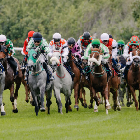 Photo from الحديقة ملتقى السباقات 1 - حديقة فيلورا، 25 أكتوبر in أبوظبي: Gallery Photo 3rwg91