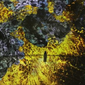 TeamLab Phenomena Abu Dhabi + Free Light and Peace museum in Abu Dhabi: Gallery Photo 3pj2eq