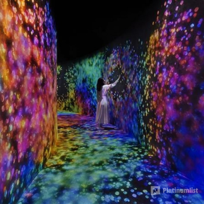 TeamLab Phenomena Abu Dhabi + Free Light and Peace museum in Abu Dhabi: Gallery Photo zg4rk1