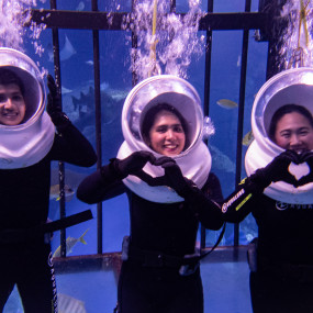Shark Walker in Dubai Aquarium в Дубай: Галерея фото zw6jpb