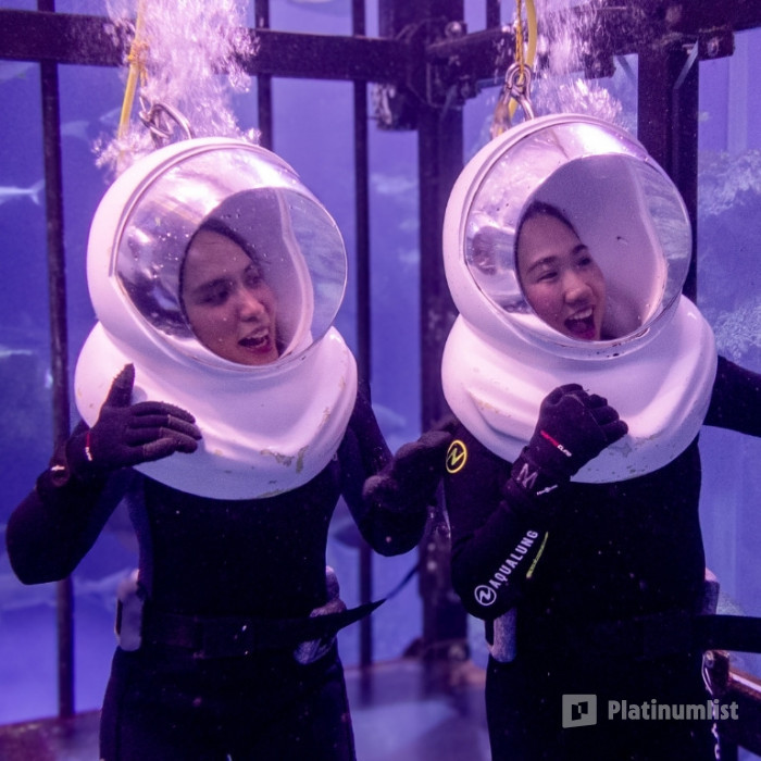 Shark Walker in Dubai Aquarium в Дубай: Галерея фото zodw84