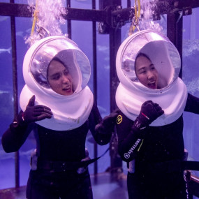 Shark Walker in Dubai Aquarium в Дубай: Галерея фото zodw84