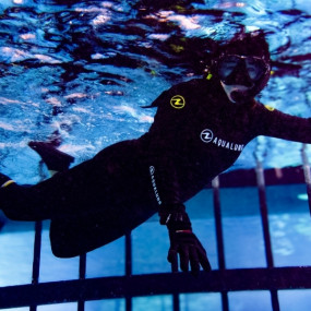 3yo8d4 استديو الصور :دبي في تجربة قفص الغطس في دبي أكواريوم وحديقة الحيوانات المائية