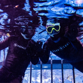 n69x5p استديو الصور :دبي في تجربة قفص الغطس في دبي أكواريوم وحديقة الحيوانات المائية