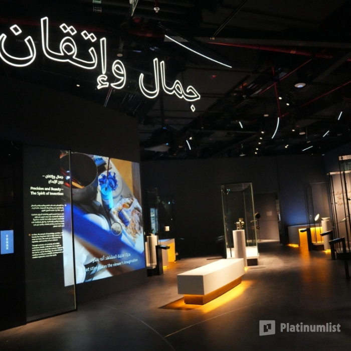 Emirates Park Zoo + Free Light and Peace museum in Abu Dhabi: Gallery Photo n0v6ep