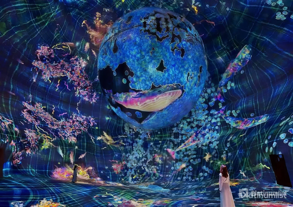 TeamLab Phenomena Abu Dhabi - Dated in Abu Dhabi: Gallery Photo zm0vr6