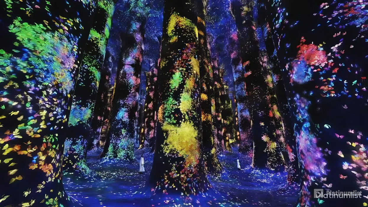 TeamLab Phenomena Abu Dhabi - Dated in Abu Dhabi: Gallery Photo zv6okq