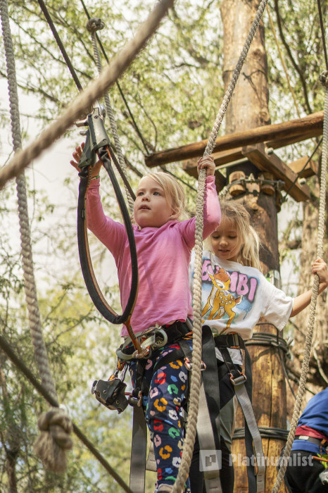 Aventura Park - Forest Explorer in Dubai: Gallery Photo n158ob