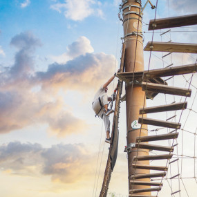 Aventura Park - Forest Explorer in Dubai: Gallery Photo z7x82w