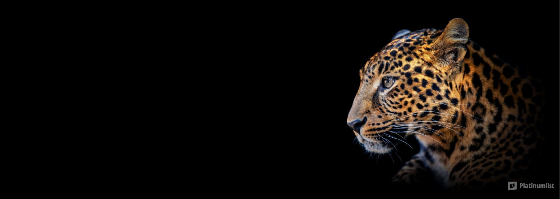 Emirates Park Zoo in Abu Dhabi: Gallery Photo 3pj268