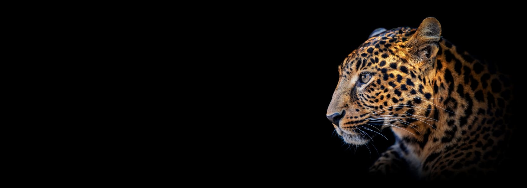 Photo from حديقة الإمارات للحيوانات in أبوظبي: Gallery Photo 3pj268