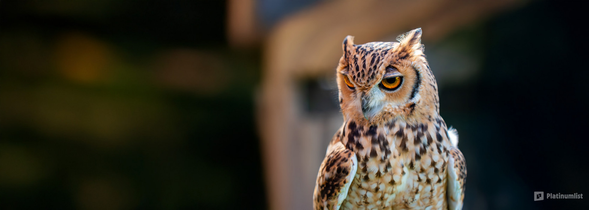 Emirates Park Zoo in Abu Dhabi: Gallery Photo zg4rpr