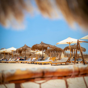 Photo from فعالية اليوم الوطني السعودي 95 في جدة in جدة: Gallery Photo z94gm8