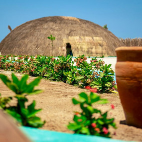 Photo from فعالية اليوم الوطني السعودي 95 في جدة in جدة: Gallery Photo 3pj20y