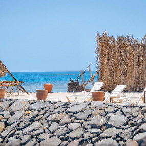 Photo from فعالية اليوم الوطني السعودي 95 في جدة in جدة: Gallery Photo n69xr1