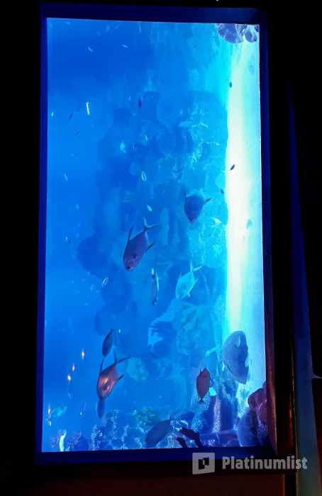 Istanbul: Emaar Aquarium + SkyView Combo в Стамбул: Галерея фото 35yjrm