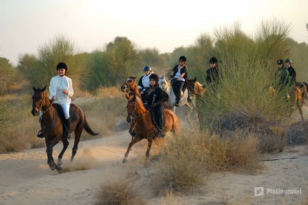 Sunset Horse Riding at Al Marmoom Oasis with a 6-Course Bedouin Dinner in Dubai: Gallery Photo zw6je4