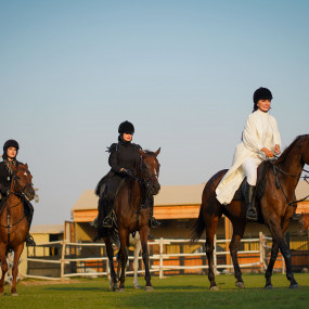 Sunset Horse Riding at Al Marmoom Oasis with a 6-Course Bedouin Dinner in Dubai: Gallery Photo zm0vx8