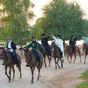 Photo from Sunset Horse Riding at Al Marmoom Oasis with a 6-Course Bedouin Dinner in Dubai: Gallery Photo 3pj2k0