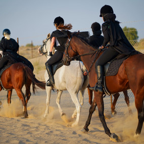 Photo from Sunset Horse Riding at Al Marmoom Oasis with a 6-Course Bedouin Dinner in Dubai: Gallery Photo zg4r98