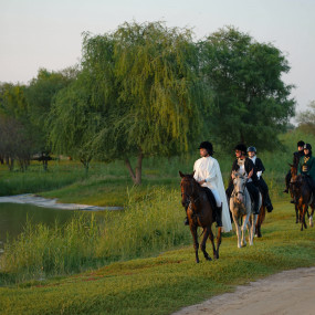 Photo from Sunset Horse Riding at Al Marmoom Oasis with a 6-Course Bedouin Dinner in Dubai: Gallery Photo 3j5bgq