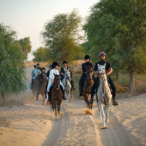 Photo from Sunset Horse Riding at Al Marmoom Oasis with a 6-Course Bedouin Dinner in Dubai: Gallery Photo 3xvx4d