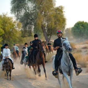 Photo from Sunset Horse Riding at Al Marmoom Oasis with a 6-Course Bedouin Dinner in Dubai: Gallery Photo 3qe45r
