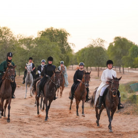 Photo from Sunset Horse Riding at Al Marmoom Oasis with a 6-Course Bedouin Dinner in Dubai: Gallery Photo nke6ok