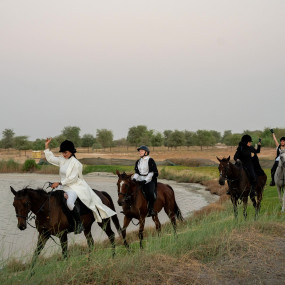Photo from Sunset Horse Riding at Al Marmoom Oasis with a 6-Course Bedouin Dinner in Dubai: Gallery Photo n26p0k