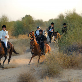 Photo from Sunset Horse Riding at Al Marmoom Oasis with a 6-Course Bedouin Dinner in Dubai: Gallery Photo n1586p