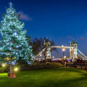 London Christmas Lights Bus Tour With Live Guide in London : Galerie de photos 3yo4oq London Christmas Lights Bus Tour With Live Guide in London : Galerie de photos 3yo4oq