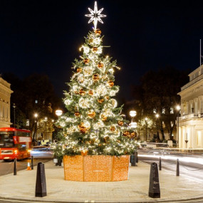 Photo from London Christmas Lights Bus Tour With Live Guide in London: Gallery Photo n69k9x