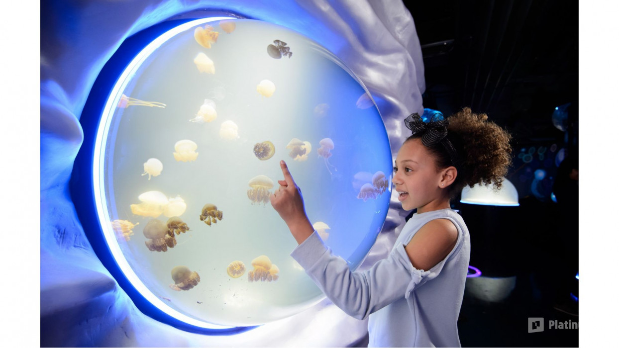 3e7q70 استديو الصور :لندن في London Eye, Madame Tussauds & SEA LIFE London - 3 way ticket 3e7q70 استديو الصور :لندن في London Eye, Madame Tussauds & SEA LIFE London - 3 way ticket