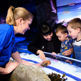 Photo from London Eye, Madame Tussauds & SEA LIFE London - 3 way ticket in London: Gallery Photo zod6de