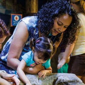 Photo from London Eye, Madame Tussauds & SEA LIFE London - 3 way ticket in London: Gallery Photo 3xvwg8