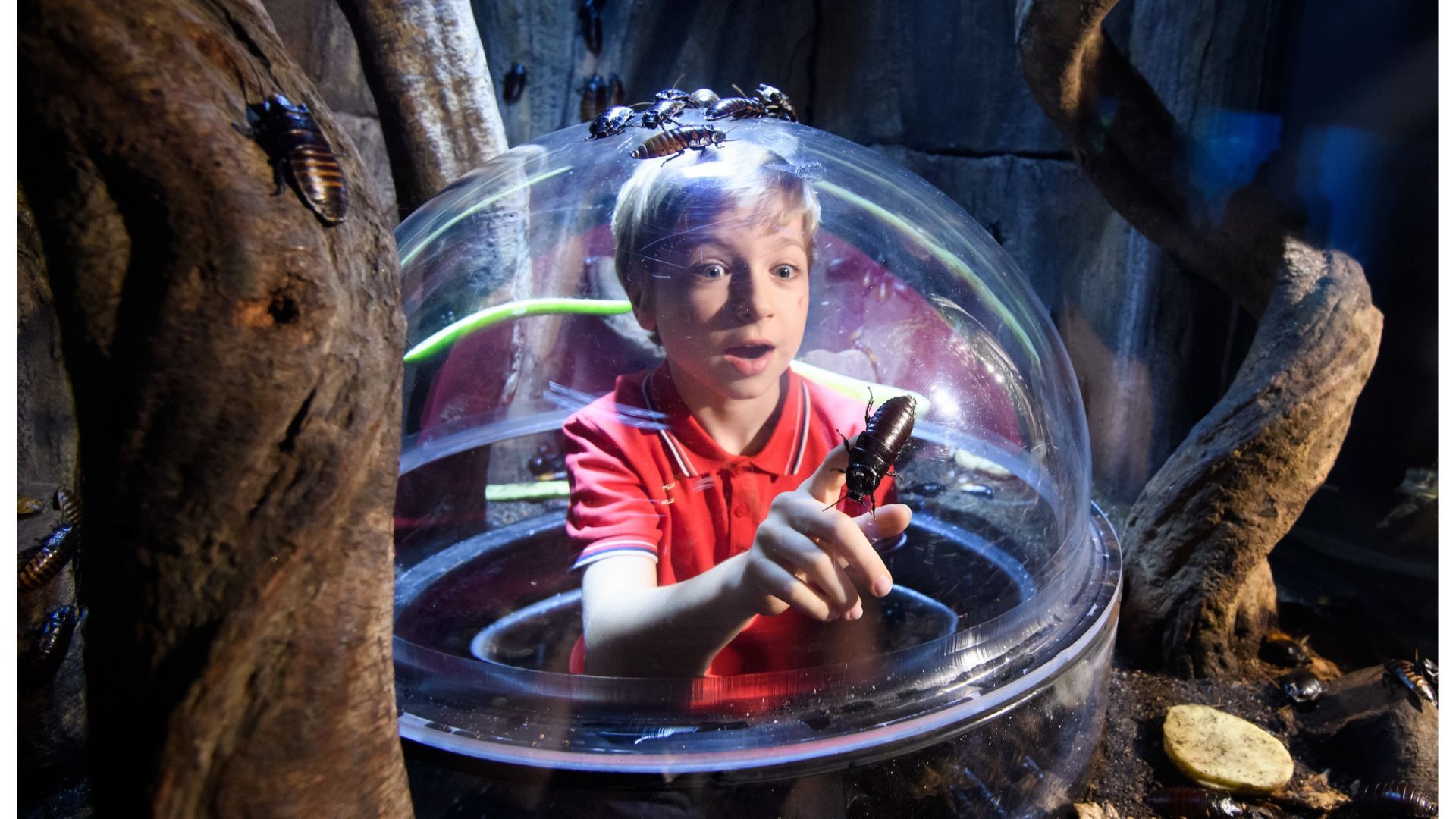 Photo from London Dungeon, SEA LIFE London & Madame Tussauds - 3 way ticket in London: Gallery Photo 3e7qw0