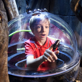 3e7qw0 استديو الصور :لندن في London Dungeon, SEA LIFE London & Madame Tussauds - 3 way ticket 3e7qw0 استديو الصور :لندن في London Dungeon, SEA LIFE London & Madame Tussauds - 3 way ticket