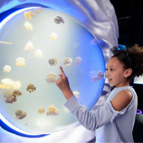34jqeb استديو الصور :لندن في London Dungeon, SEA LIFE London & Madame Tussauds - 3 way ticket 34jqeb استديو الصور :لندن في London Dungeon, SEA LIFE London & Madame Tussauds - 3 way ticket