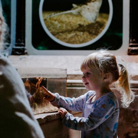 Sea Life Brighton in Brighton: Gallery Photo 3yo464