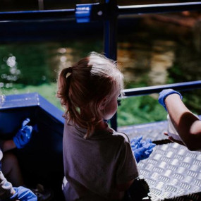 Sea Life Brighton in Brighton: Gallery Photo nkebrq