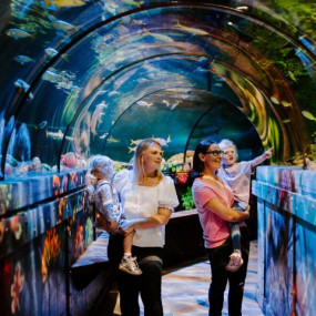 Sea Life Brighton in Brighton: Gallery Photo n69kvp