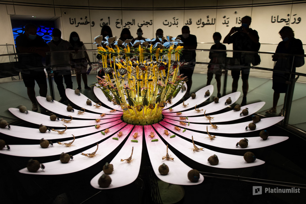 z7x2ok استديو الصور :دبي في إكسبو سيتي دبي - بطاقة دخول المعالم