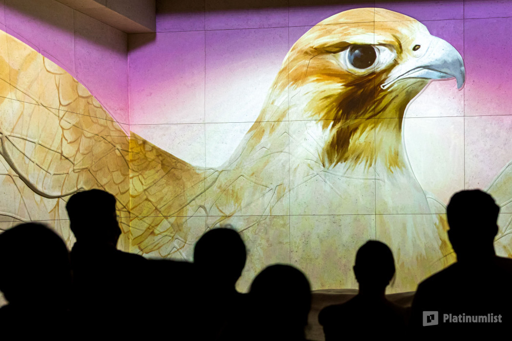 Expo City Dubai - Attractions Pass в Дубай: Галерея фото 3e7qpb