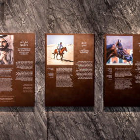 Фотография с Expo City Dubai - Attractions Pass в Дубай: Галерея фото z94kp8